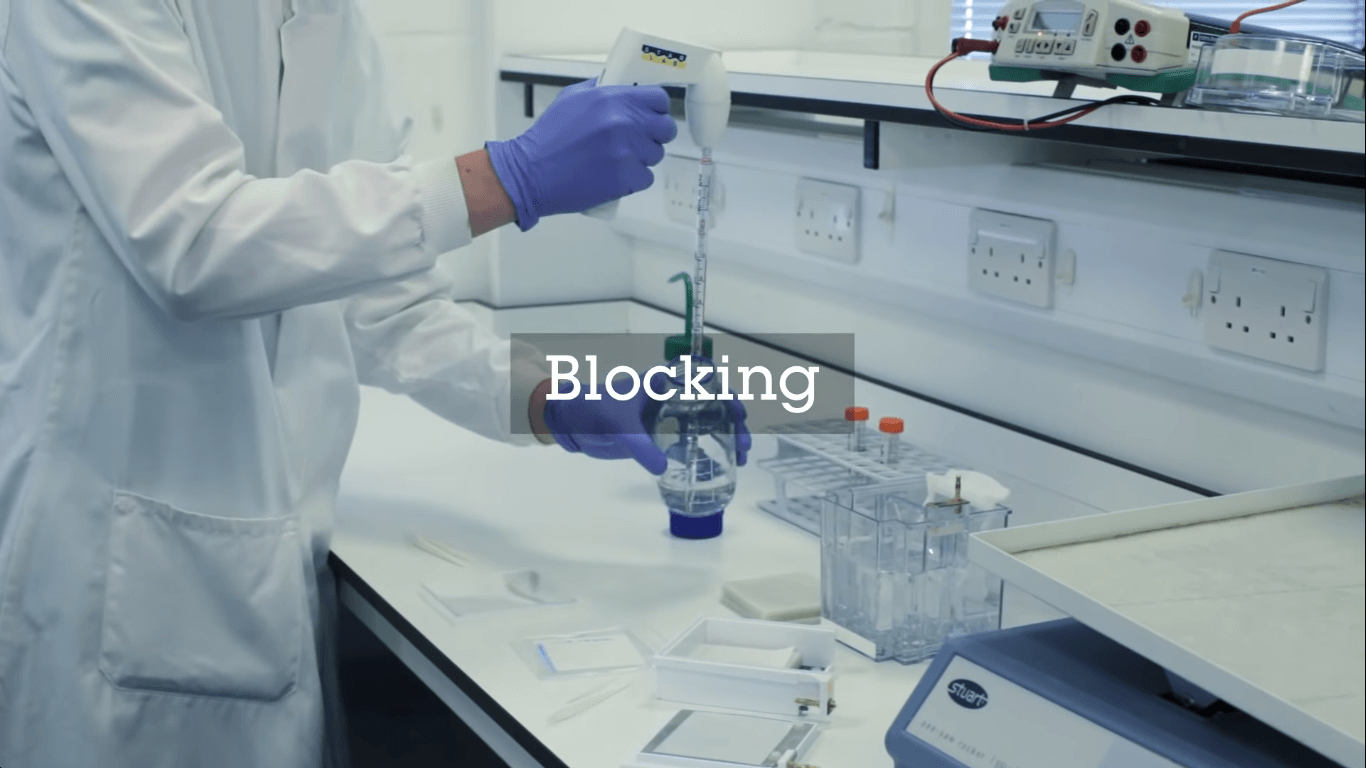 Process of blocking- Western Blot Experiment