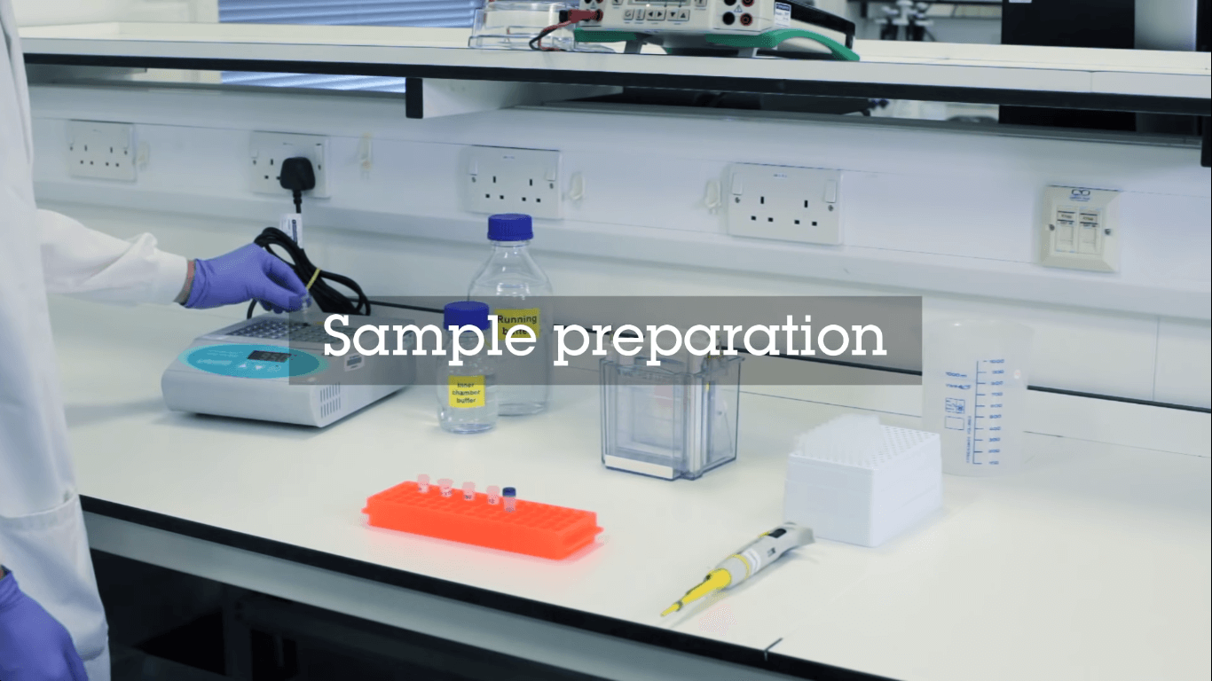 sample preparation - Process of Western Blot Experiment
