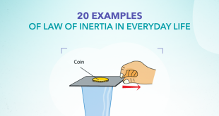 20 Examples of Law of Inertia In Everyday Life