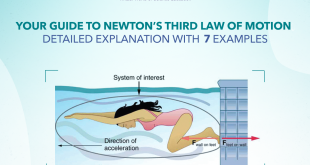 Your Guide to Newton’s Third Law of Motion: Detailed Explanation with 7 Examples