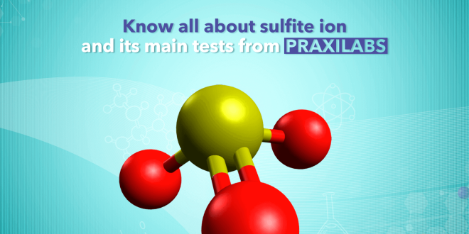 Know All About Sulfite Ion and Its Main Tests From PraxiLabs