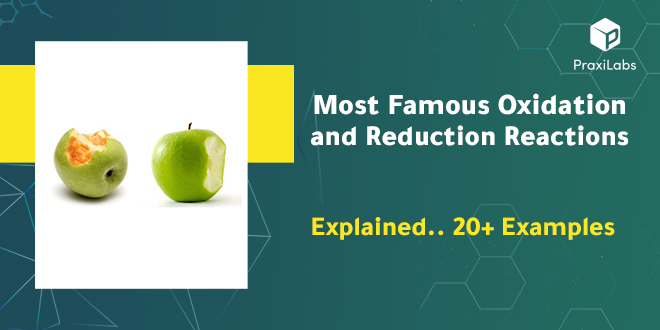Most Famous Oxidation and Reduction Reactions Explained with 20+ Examples