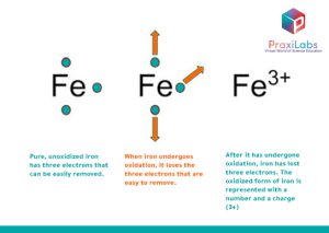 oxidation mechanism in iron metal explained with illustration