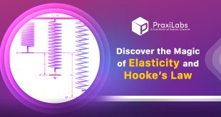 Hooke's law and Elasticity