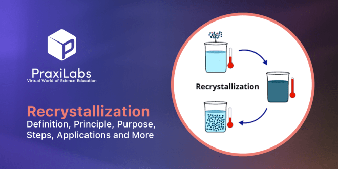 Recrystallization | Definition, Principle, Purpose, Steps, Applications and More
