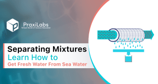 Separating Mixtures| Learn How to Get Fresh Water From Sea Water