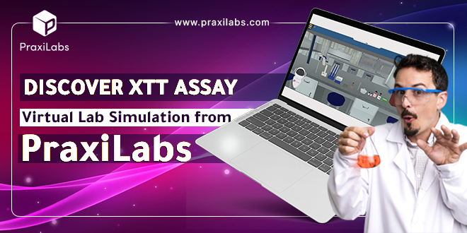 Discover XTT Assay Virtual Lab Simulation from PraxiLabs