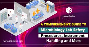 A Comprehensive Guide to Microbiology Lab Safety and More